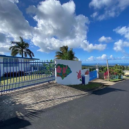Million Dollar View In Puerto Rico Villa Luquillo Buitenkant foto