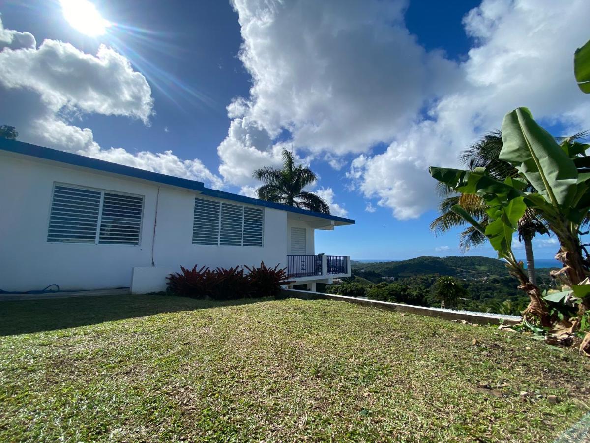 Million Dollar View In Puerto Rico Villa Luquillo Buitenkant foto