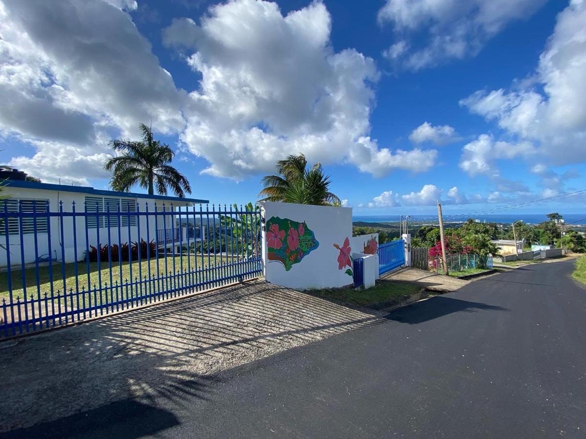 Million Dollar View In Puerto Rico Villa Luquillo Buitenkant foto