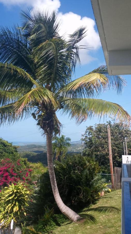 Million Dollar View In Puerto Rico Villa Luquillo Buitenkant foto