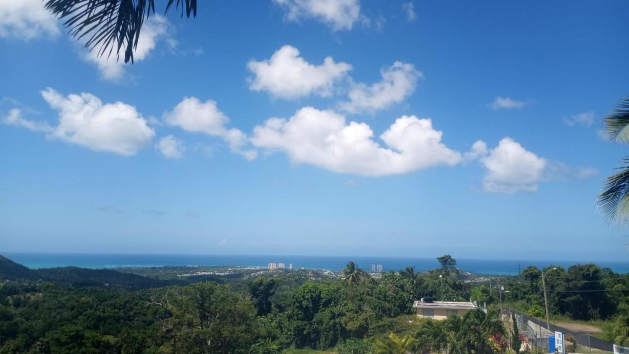 Million Dollar View In Puerto Rico Villa Luquillo Buitenkant foto