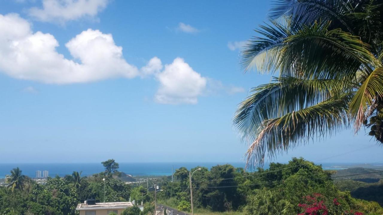 Million Dollar View In Puerto Rico Villa Luquillo Buitenkant foto