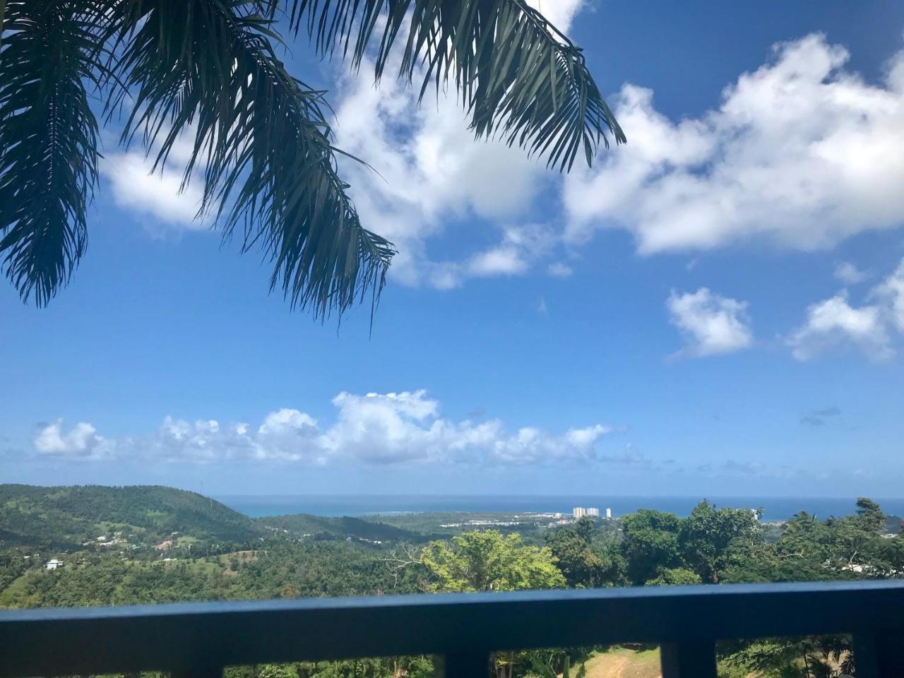 Million Dollar View In Puerto Rico Villa Luquillo Buitenkant foto
