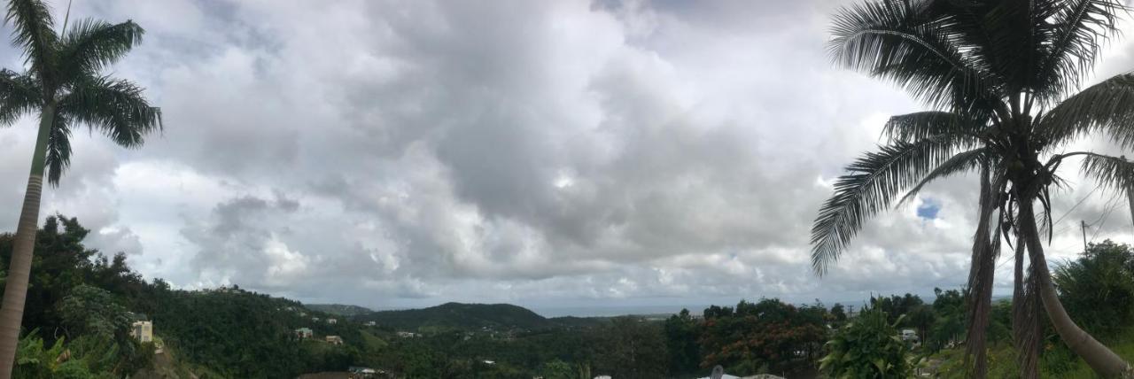 Million Dollar View In Puerto Rico Villa Luquillo Buitenkant foto